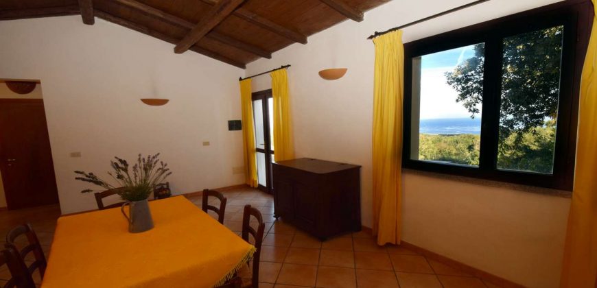 Stazzu For Sale In Sardinia with beautiful sea view in Aglientu