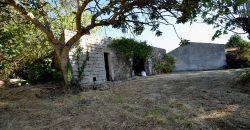 Vineyard And Farmstead For Sale In Sardinia