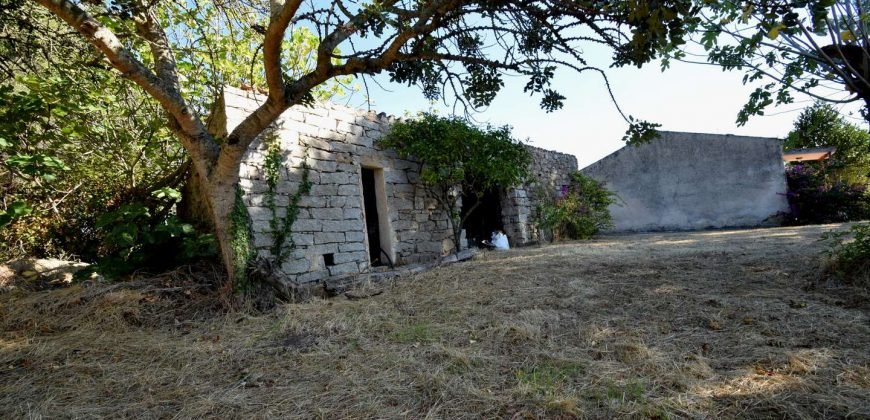 Vineyard And Farmstead For Sale In Sardinia