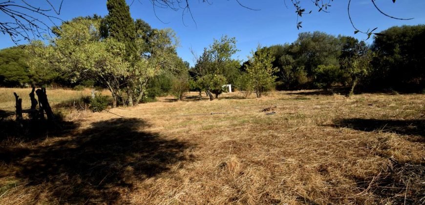 Vineyard And Farmstead For Sale In Sardinia