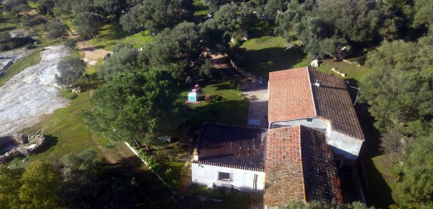 Country houses for sale Sardinia, ref Vignali