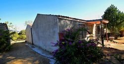 Vineyard And Farmstead For Sale In Sardinia