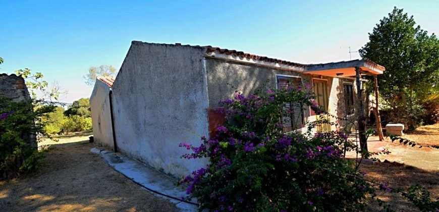 Vineyard And Farmstead For Sale In Sardinia