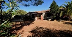 Vineyard And Farmstead For Sale In Sardinia