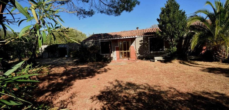 Vineyard And Farmstead For Sale In Sardinia