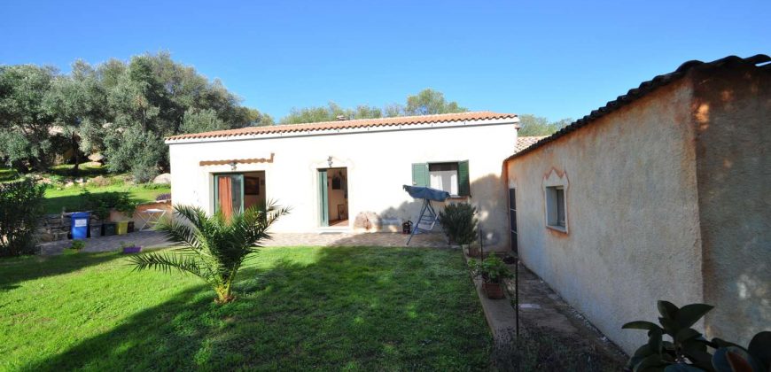 Country houses for sale Sardinia, ref Vignali