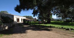 Country houses for sale Sardinia, ref Vignali