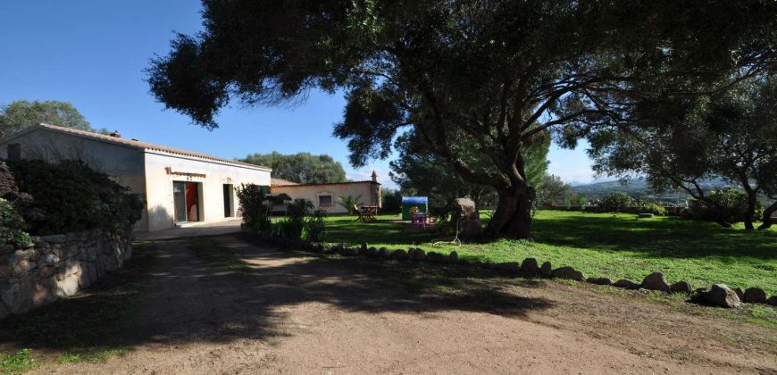 Country houses for sale Sardinia, ref Vignali