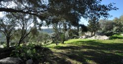 Country houses for sale Sardinia, ref Vignali