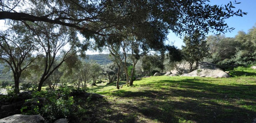 Country houses for sale Sardinia, ref Vignali