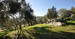 Country houses for sale Sardinia, ref Vignali