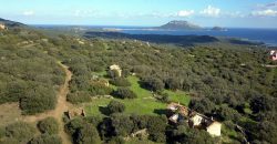 Stazzo For sale in Sardinia, Ref. Muriscu/ Pittulongu