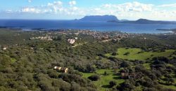 Stazzo For sale in Sardinia, Ref. Muriscu/ Pittulongu