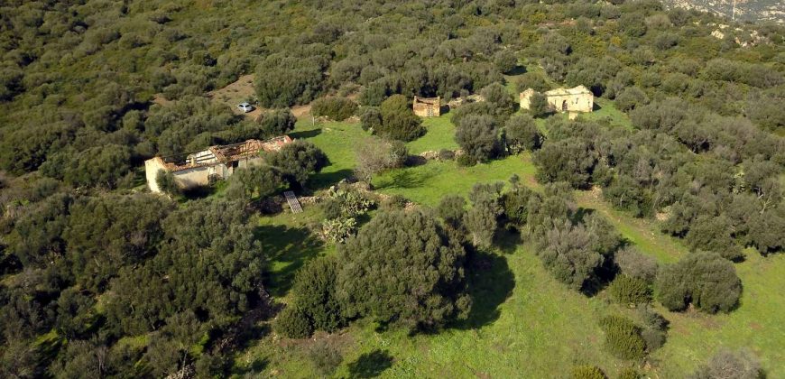 Stazzo For sale in Sardinia, Ref. Muriscu/ Pittulongu