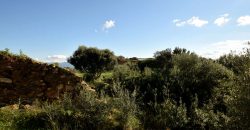 Stazzo For sale in Sardinia, Ref. Muriscu/ Pittulongu