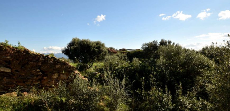 Stazzo For sale in Sardinia, Ref. Muriscu/ Pittulongu