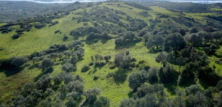 Stazzo For sale in Sardinia, Ref. Muriscu/ Pittulongu