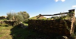 Stazzo For sale in Sardinia, Ref. Muriscu/ Pittulongu