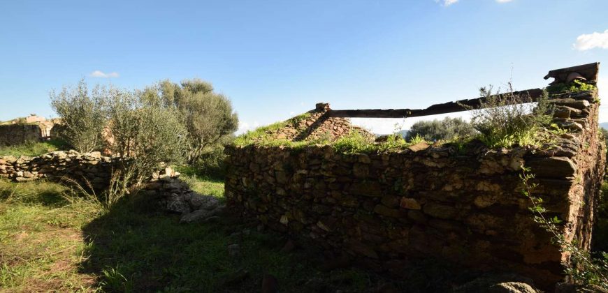 Stazzo For sale in Sardinia, Ref. Muriscu/ Pittulongu