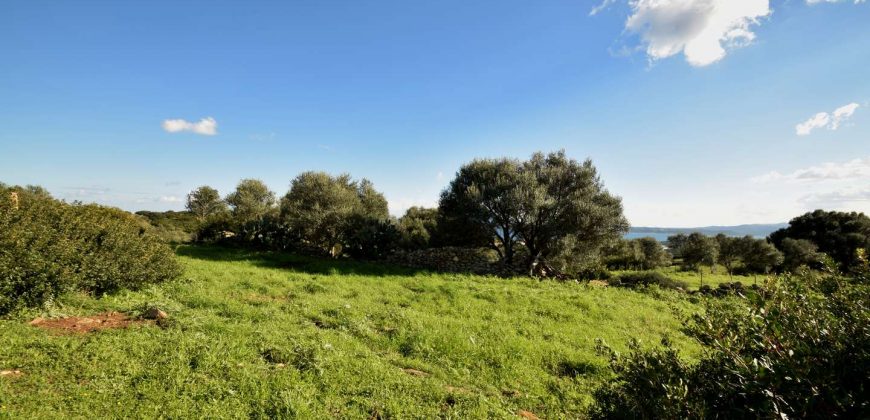 Stazzo For sale in Sardinia, Ref. Muriscu/ Pittulongu