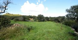 Stazzo For sale in Sardinia, Ref. Muriscu/ Pittulongu