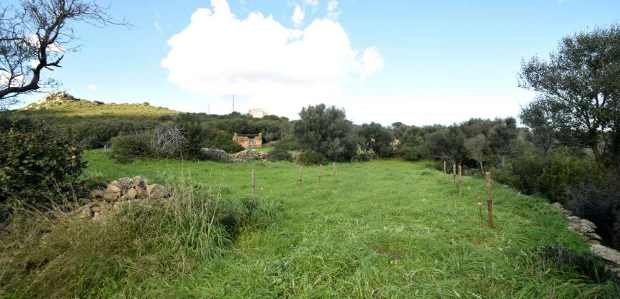 Stazzo For sale in Sardinia, Ref. Muriscu/ Pittulongu