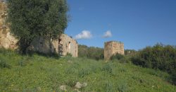 Stazzo For sale in Sardinia, Ref. Muriscu/ Pittulongu