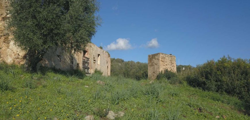 Stazzo For sale in Sardinia, Ref. Muriscu/ Pittulongu