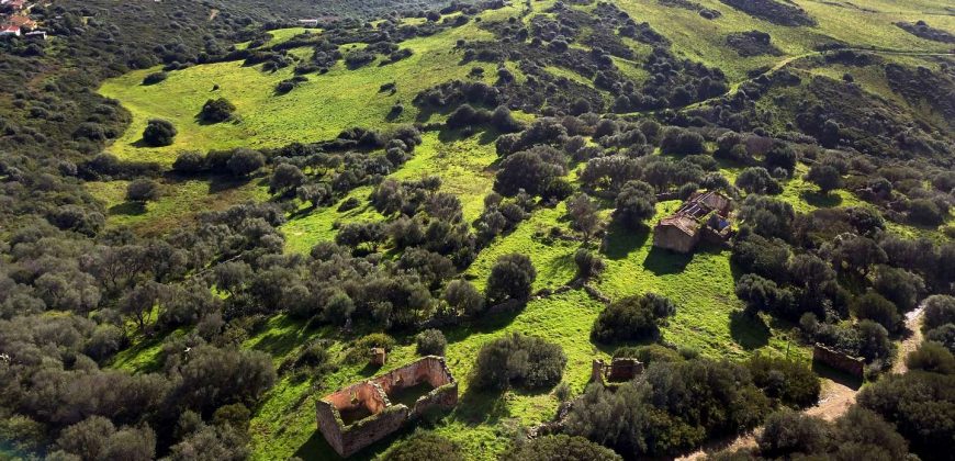 Stazzo For sale in Sardinia, Ref. Muriscu/ Pittulongu