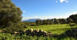 Stazzo For sale in Sardinia, Ref. Muriscu/ Pittulongu