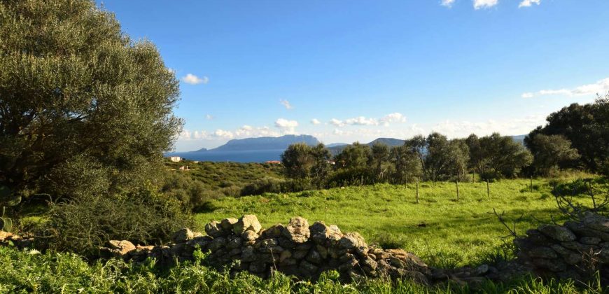 Stazzo For sale in Sardinia, Ref. Muriscu/ Pittulongu