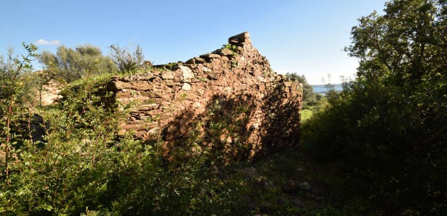 Stazzo For sale in Sardinia, Ref. Muriscu/ Pittulongu