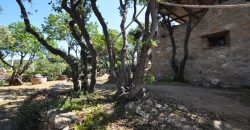 Houses For Sale Porto Cervo Sardinia ref Anna