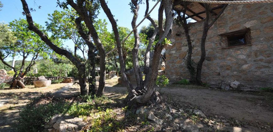 Houses For Sale Porto Cervo Sardinia ref Anna