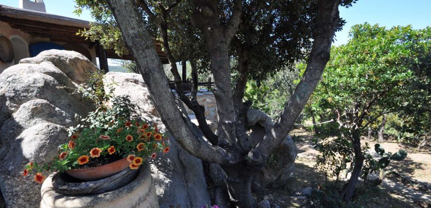 Houses For Sale Porto Cervo Sardinia ref Anna