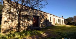 Vineyard And Farmstead For Sale In Sardinia. ref Lu Mocu