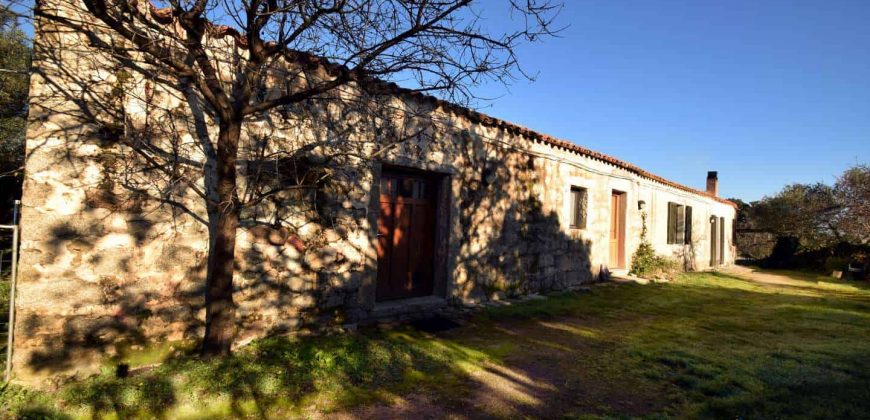 Vineyard And Farmstead For Sale In Sardinia. ref Lu Mocu