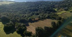 Vineyard And Farmstead For Sale In Sardinia. ref Lu Mocu