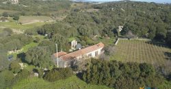 Vineyard And Farmstead For Sale In Sardinia. ref Lu Mocu