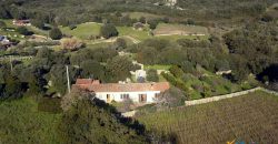 Vineyard And Farmstead For Sale In Sardinia. ref Lu Mocu