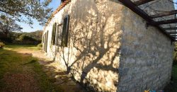 Vineyard And Farmstead For Sale In Sardinia. ref Lu Mocu