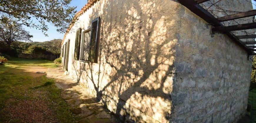 Vineyard And Farmstead For Sale In Sardinia. ref Lu Mocu