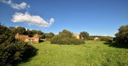 Country Home For Sale Italy ref. Muriscu