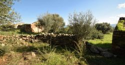 Country Home For Sale Italy ref. Muriscu