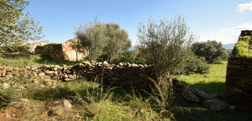 Country Home For Sale Italy ref. Muriscu