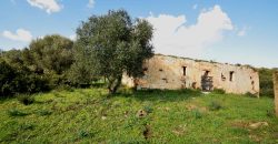 Country Home For Sale Italy ref. Muriscu