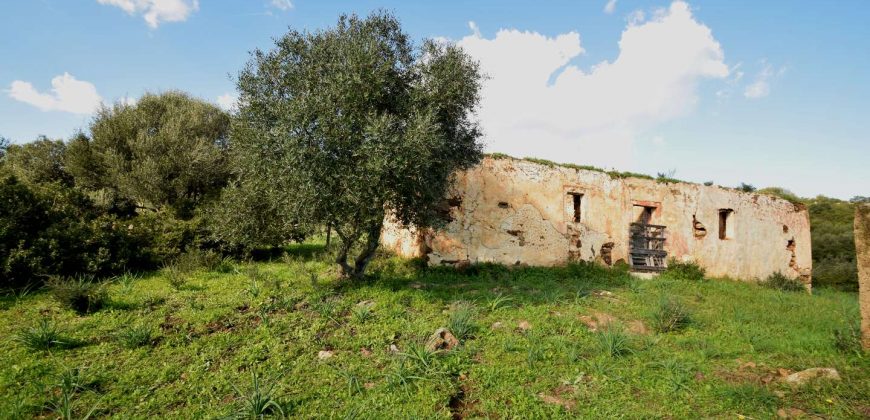 Country Home For Sale Italy ref. Muriscu