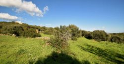 Country Home For Sale Italy ref. Muriscu