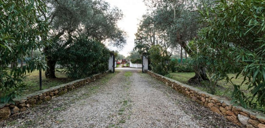 Property for sale in Alghero Sardinia Ref Calabona
