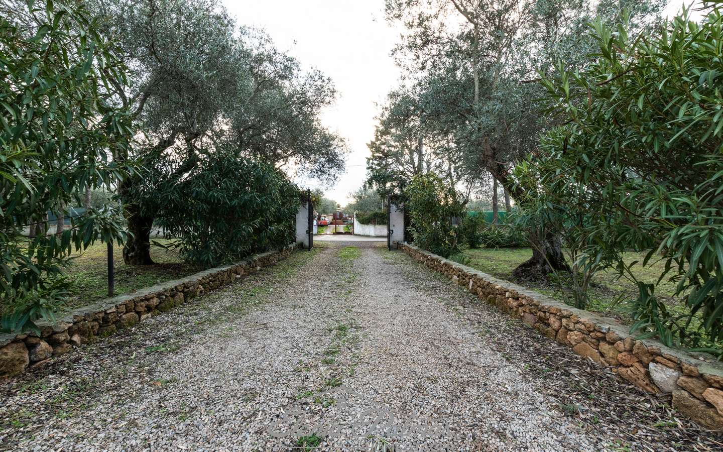 Property for sale in Alghero Sardinia Ref Calabona
